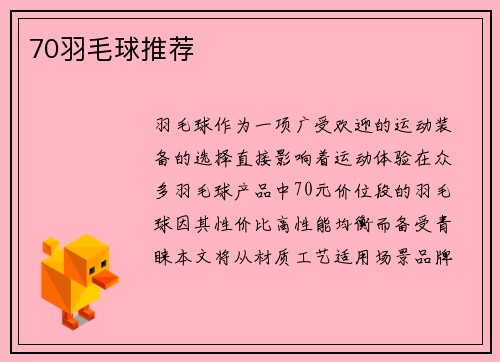 70羽毛球推荐