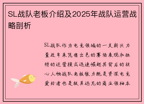 SL战队老板介绍及2025年战队运营战略剖析